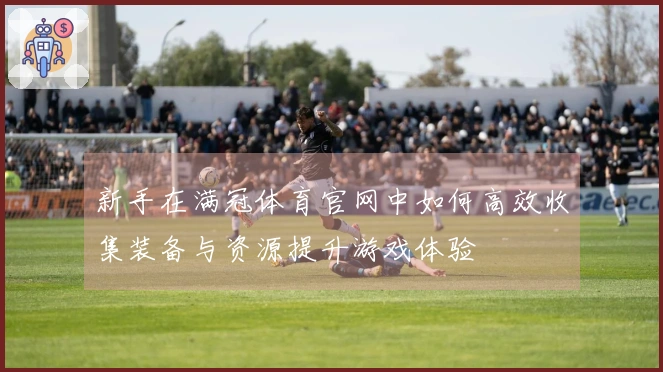 新手在满冠体育官网中如何高效收集装备与资源提升游戏体验