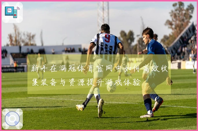 新手在满冠体育官网中如何高效收集装备与资源提升游戏体验